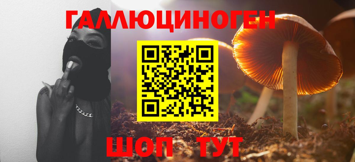 Псилоцибиновые грибы Cubensis  Вход с VPN  Галлюциногенные грибы прущие грибы  Павлово 